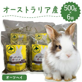 【人気商品】うさぎ牧草 ウサギ オーツヘイ 500g×6袋 オーストラリア産 牧草王国 うさぎ 牧草 mofuparfait もふぱふぇ チンチラ モルモット 牧草 えさ 敷材 ラベルレス 小動物大好き ※ キューブ ではありません SSS