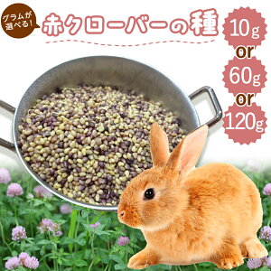 yliȏz ԃN[o[ q  N[o[ ETM q̎ Iׂ 10g or 60g or 120g q ``    q ӂςӂ q   e  X[_O