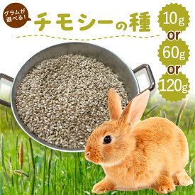 【お値段以上】うさぎ 牧草の種 選べる 10g or 60g or 120g 牧草 種 チモシー ウサギ うさぎ牧草 牧草王国 チンチラ うさぎ えさ 種 大容量うさぎ 牧草 もふぱふぇ 牧草 えさ ※ スーダングラス 牛 バター ではありません