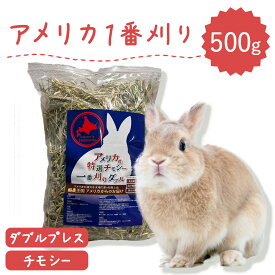 うさぎ牧草 チモシー ダブルプレス 500g アメリカ産 1番刈り 一番狩り 一番 刈り 牧草王国 チンチラ うさぎ モルモット 牧草 えさ 敷材 ダブル ※ オーツヘイ キューブ ではありません SSS