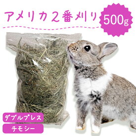 うさぎ 牧草 ウサギ チモシー ダブルプレス 500g アメリカ産 アメリカ US 2番刈り 二番刈り うさぎ 牧草 mofu parfait もふぱふぇ チンチラ うさぎ モルモット 牧草 えさ 敷材 ダブル ラベルレス n