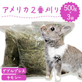 【ラベルレス】うさぎ牧草 ジップ袋 ウサギ チモシー ダブルプレス 500g×3袋 牧草王国 アメリカ産 アメリカ 2番刈り 二番刈り うさぎ 牧草 mofu parfait もふぱふぇ チンチラ モルモット 牧草 えさ 敷材 ダブル ※ オーツヘイ キューブ ではありません SSS