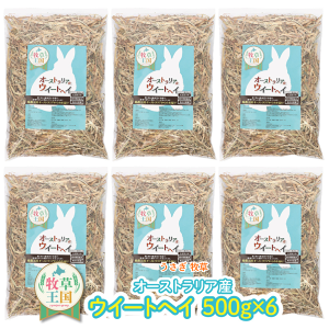  q EB[gwC 500g×6 e q q  a GT t[h ̉a I[XgAY q   O q bg  mofu parfait ӂςӂ  q