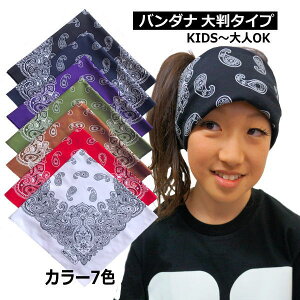 _X o_i 唻 yCY[ TCY60cm J[ bh zCg ubN p[v J[L uE lCr[ o_i}XN _Xߑ qbvzbv 傫TCY wAANZT