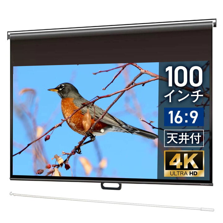 楽天市場】プロジェクタースクリーン 100インチ 吊り下げ シアター 