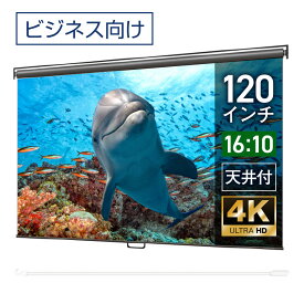 プロジェクタースクリーン 120インチ 吊り下げ シアターハウス スプリングスクリーン WXGA 16:10 ビジネス 4K 送料無料 日本製 プロジェクター スクリーン 120 手動 スプリング ロール 引っ掛け棒 天吊 壁掛け 会議 プレゼン 店舗 学校 メイドインジャパン 生涯保証