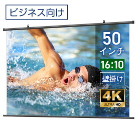 プロジェクタースクリーン 50インチ 吊り下げ シアターハウス 掛け軸スクリーン WXGA 16:10 ビジネス 4K 送料無料 日本製 プロジェクター スクリーン 50 手動 掛け軸 タペストリー 天吊 壁掛け 会議 プレゼン 店舗 学校 メイドインジャパン made in japan 生涯保証