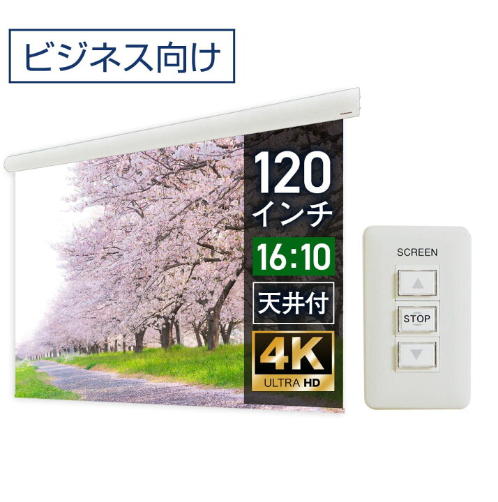 楽天市場】大型電動スクリーン 120インチ 吊り下げ シアターハウス 