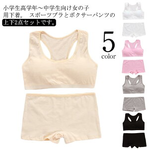 {NT[pc w Ci[Zbg V[c  qp Jbvt ̎q iCgu w Zbg WjA mC[ A_[EFA n t@[Xgu uW[