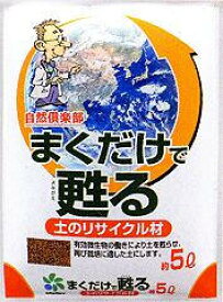 楽天市場 土 消毒の通販