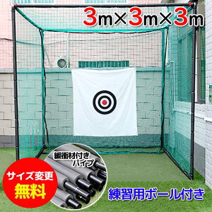 ゴルフ練習器具 ゴルフ練習用ネットの通販 価格比較 価格 Com