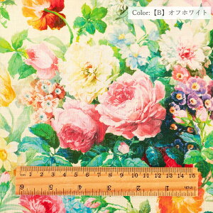 ���n �L�֏��X YUWA �ԕ� YUWA�}�X�^�[�R���N�V���� �R�b�g�� EXTRA FINE ���X�^�[ �X�P�A�[ especial rose ���g���T�C�Y �G�N�X�g���t�@�C�� ��100% EF664021