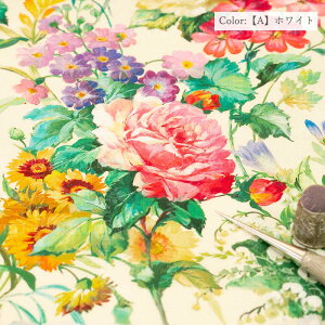 X^[XPA[ Vanessa S2F / YUWA}X^[RNV Rbg EXTRA FINE / | n L֏X YUWA ԕ  / EF664030 lR|X150cm܂