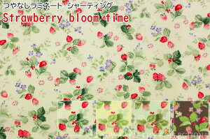 Ȃ~l[g V[eBO Strawberry bloom time S4F / L֏X YUWA n C`S   t[c Jg[ i` / lR|X150cm܂ 10cmP ؂蔄