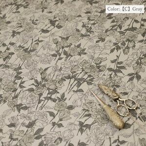 n 60 [ " Pencil Line Rose " YUWA L֏X ԕ  ` {^jJ 10cmP ؂蔄 S5F 319806