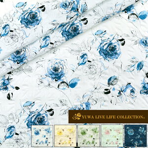 [bv " Fine Line Rose " S5F / YUWA L֏X n z nhCh | m \[CO pb`[N ԕ o 傫 / 416211 / 10cmP ؂蔄 lR|X150cm܂
