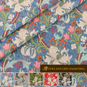 Ȗ nhCurl Plantsh S5F YUWA L֏X 10cmPʐؔ 446771 IG^ {^jJ