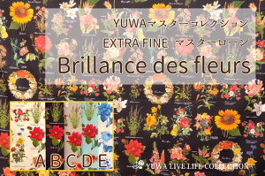 yYUWA}X^[RNVzYUWA L֏X n ԕ | EXTRA FINE }X^[[ Brillance des fleurs / EF334057 10cmP ؂蔄 S5F  A t@V[ {^jJ