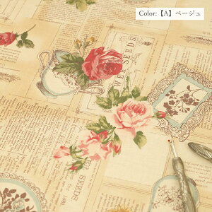 n 苾 ԕ L֏X GKg NVJ V[eBO English Afternoon 826148