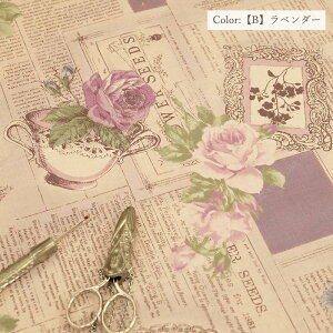 n 苾 ԕ L֏X GKg NVJ V[eBO English Afternoon 826148