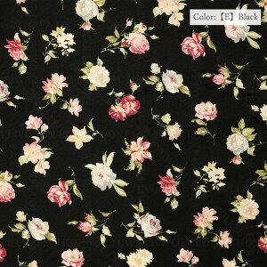 V[eBO L֏X YUWA S5F n ԕ ԃt[ 10cmP ؂蔄 829893