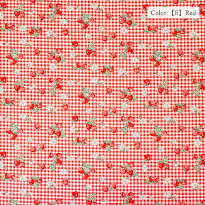 R֎q h Check  Strawberry h V[eBO AT829949 10cmP ؂蔄 S6F YUWA L֏X n z nhCh  100 Rbg