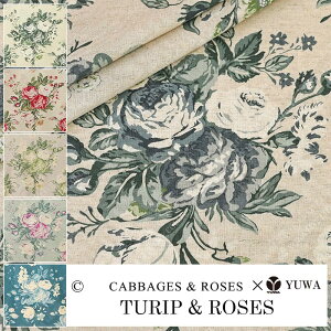 Cabbages  Roses@LȖV[eBO h TURIP & ROSES hS5F n 10cmP CR449903 lR|Xő100cm