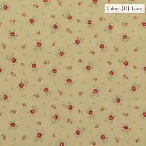 ̑c V[eBO "~j`A[Yh S5F L֏X YUWA n ԕ 10cmP ؂蔄 KS23-005 lR|X150cm܂