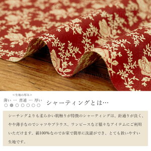 ̑c V[eBO hVvȃoh S7F L֏X YUWA n ԕ 10cmP ؂蔄 KS24-013 lR|X150cm܂