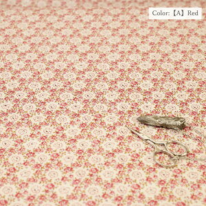 ~[t@ V[eBO " Petit lis " MF826785 10cmP ؂蔄 S5F / YUWA L֏X / n z