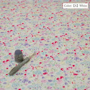 ~[t@ " Charlotte " MF826884 10cmP ؂蔄 S5F / YUWA L֏X / n z