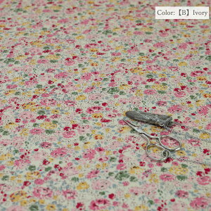 ~[t@ " Charlotte " MF826884 10cmP ؂蔄 S5F / YUWA L֏X / n z