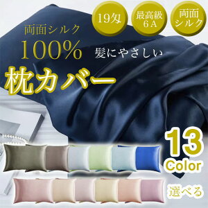 【着後レビューで特典】枕カバー シルク 両面シルク 50×70用 シルク100% 厚手 19匁 シルク枕カバー 大きめ 秋冬 暖か 美肌 肌ケア 保温 乾燥対策 保湿 美容 ピロケース 美髪 艶髪 冷感 涼しい 枕