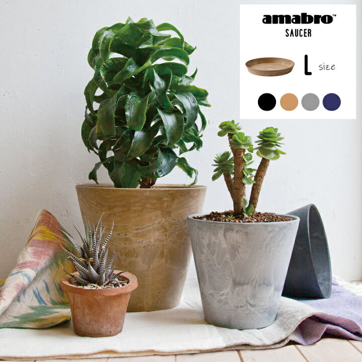 楽天市場 受皿 鉢皿 大型 プランター 植木鉢 おしゃれ 鉢植え アマブロ アートストーン ソーサー Lサイズ 受け皿 Amabro Art Stone Saucer 軽い 花 栽培 プレゼント ギフト 母の日 通販 水やり かわいい ガーデニング 盆栽 生活雑貨バスターズ 楽天市場店