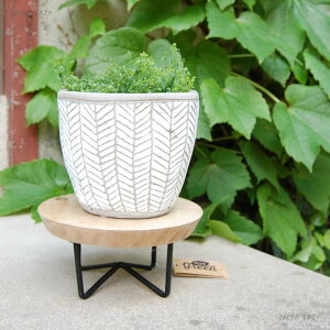 T[NR|[gS@@X^h K[f K[fjO t[ ANZT[ CeA fBXvC