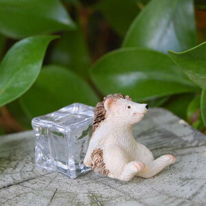 ACXAj} wbWzbO@@}XRbg@CeA@I[ig@ACX@C@ā@͂˂݁@nlY~yRpNgΉz