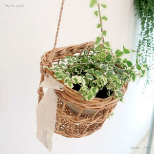 AO艺C@@oXPbg  [ CeA AO nMO K[f fBXvC