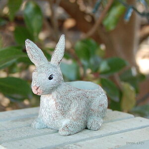 G[|bg@@ FV 䂤 E[ |bg  Aؔ K[fjO K[fG  ETM