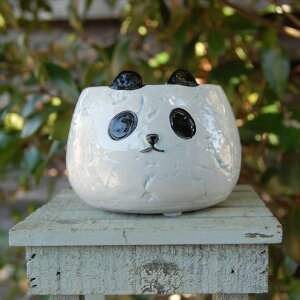 Aj}|bg p_@@pZI ς  Aؔ |bg Aj}|bg ߃TCY Z~bN  ς p_ PANDA