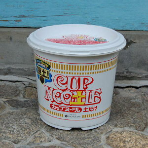 CUP NOOyLE Jbvk[h y 5L@@vg[t Jbvk[h Jbvk[y ƒ؉ x_؉ k|{y |{y