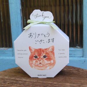 BLISSFUL THANKS oX\g@g@肪Ƃ@@R[WJpj[ Mtg v[g  oXObY ˂ L lR v`MtgyRpNgΉ2܂Łz