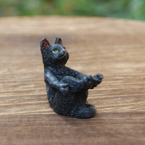 YOGAAj} NlR@@L[Xg[ KEYSTONE }XRbg I[ig  Aj} K K|[Y L ˂ lR LyRpNgΉz