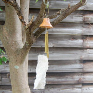 ꂢȉFtłP̂BRASS̕@@u̔ ͂΂ CeA uX ^J Ebh  AJVA