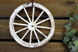 EbhfBXvC@EbhEB[@STCY@EH[fR[V@~jԗ/IuWFԗց@i`zCg@wf54awhVr[@AeB[N/WN@ԗցyJXZ[