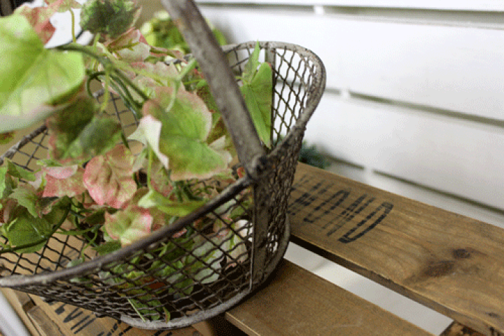 楽天市場】ワイヤーバスケット ガーデンバスケット Sサイズ フルーツ