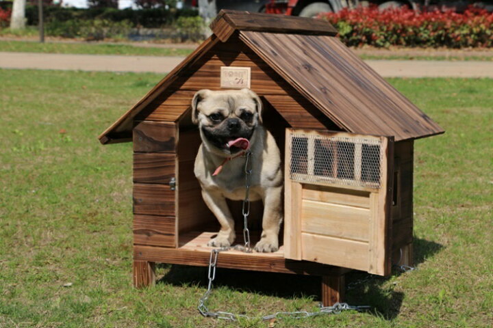 楽天市場】Lサイズ犬舎 猫舎 犬小屋 猫小屋 ペット屋 PET HOUSE DIY 