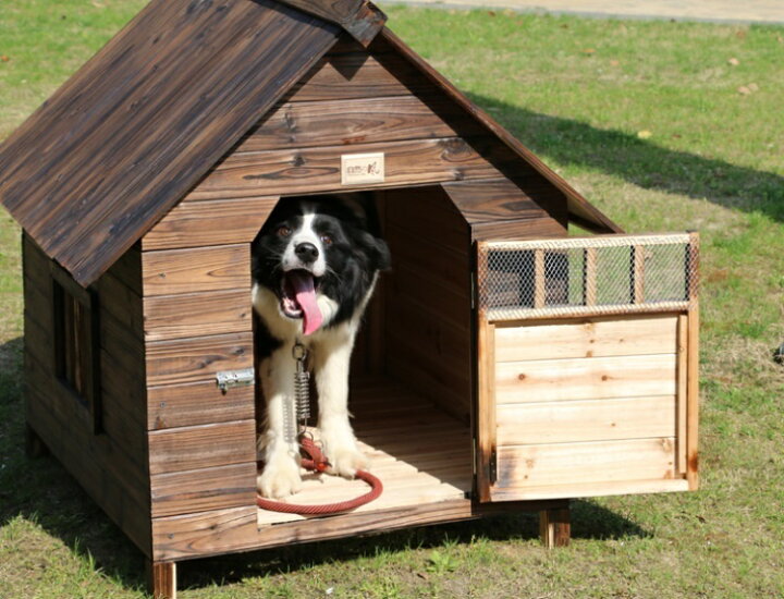 楽天市場】Lサイズ犬舎 猫舎 犬小屋 猫小屋 ペット屋 PET HOUSE DIY  