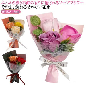 ԑ av[g a \ ސE v[g \[vt[ KN 蕨  ͂Ȃ  ͂Ȃ Mtg \[vt[ ԑ  FB Fl LO j  oY j 