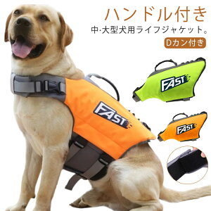  ^ t[eBOxXg ~ p  ^ CtWPbg   dJt nht C v[ p V V C SUP Tbv  jP pCt