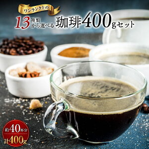 R[q[    ݔ  S 13ނ̃uhIׂZbg 100g×4 40t 400g |Xg |Cg R[q[ R[q[ S[h y VN R[q[